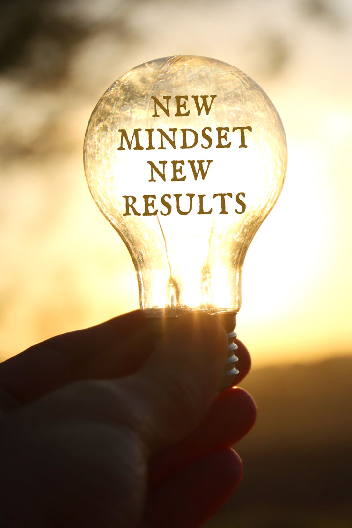 Mindset and Habit Coaching